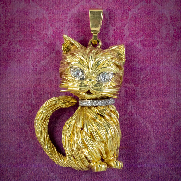 14k gold cat collar top