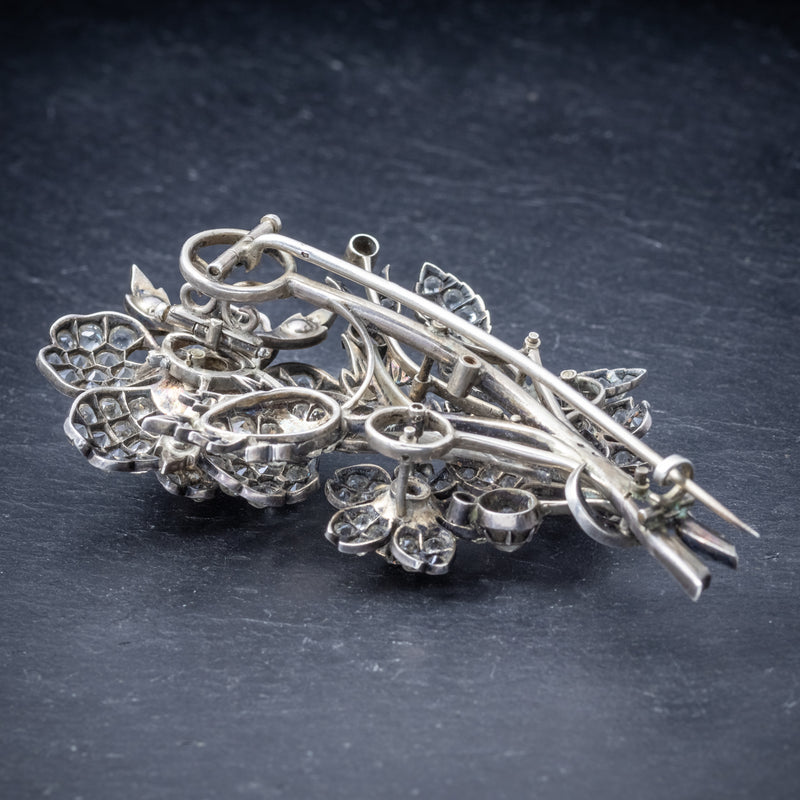 Trembler brooch shop