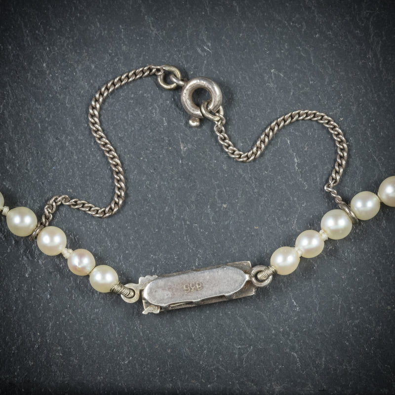 Antique Victorian Pearl Necklace Boxed Circa 1900 BACK