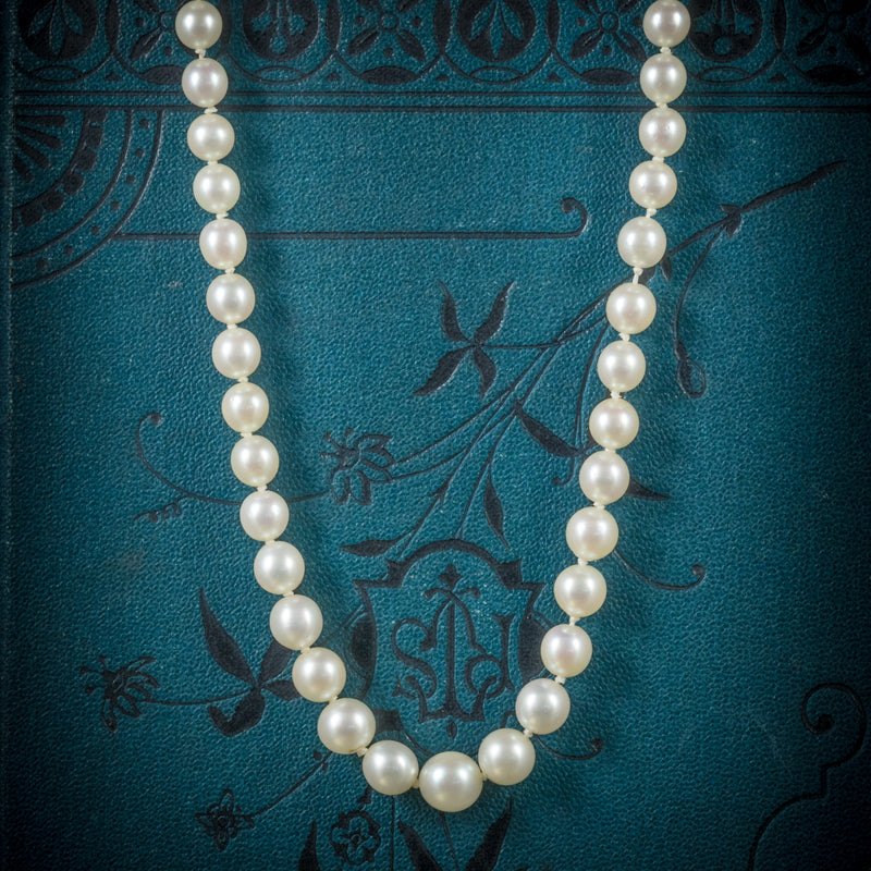 Antique Victorian Pearl Necklace Boxed Circa 1900 Antique Jewellery Online