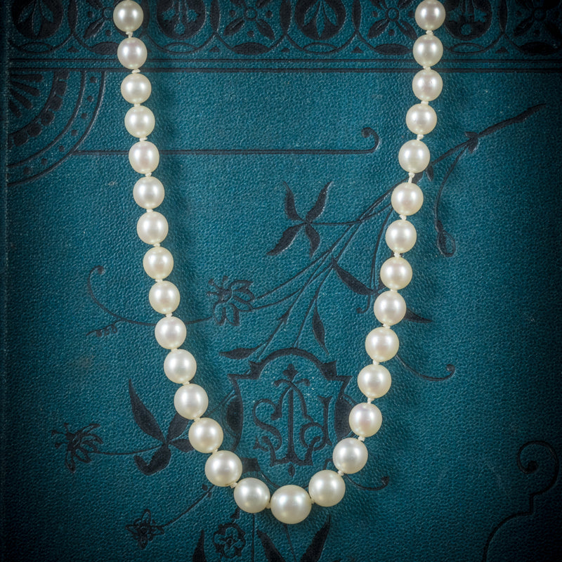 Antique Victorian Pearl Necklace Boxed Circa 1900 COVER