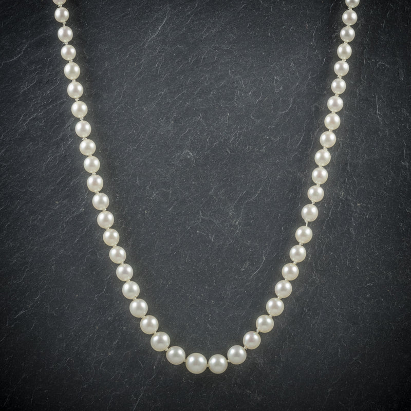 Antique Victorian Pearl Necklace Boxed Circa 1900 FRONT