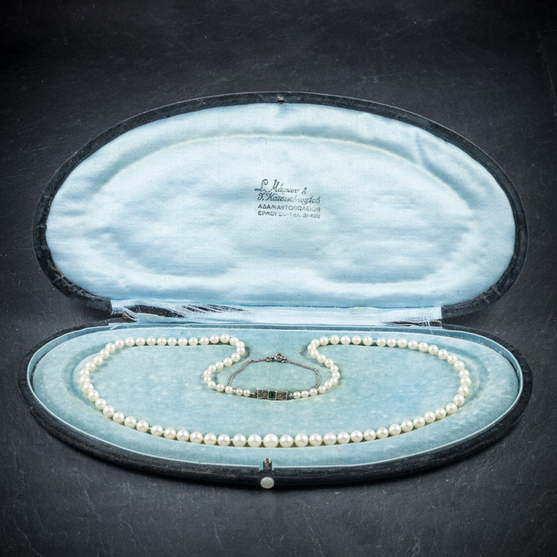 Antique Victorian Pearl Necklace Boxed Circa 1900 open
