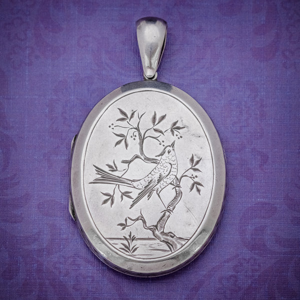 ANTIQUE VICTORIAN SILVER SWALLOW LOCKET CIRCA 1860 COVER