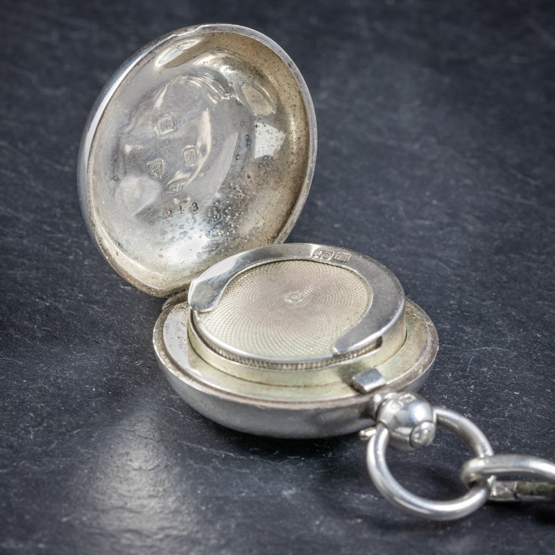 Sovereign online necklace silver