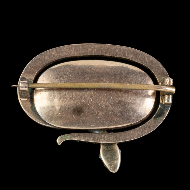 Antique Georgian Lovers Eye Miniature Snake Brooch 18ct Gold