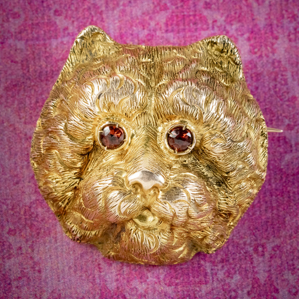 Antique Victorian French Cat Brooch Garnet Eyes 18ct Gold Circa 1880