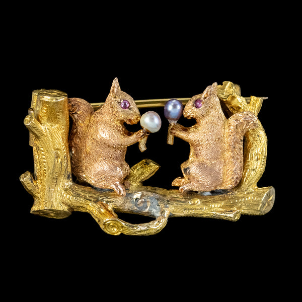 Antique Victorian Squirrel Brooch Pearl Acorns 18ct Gold 