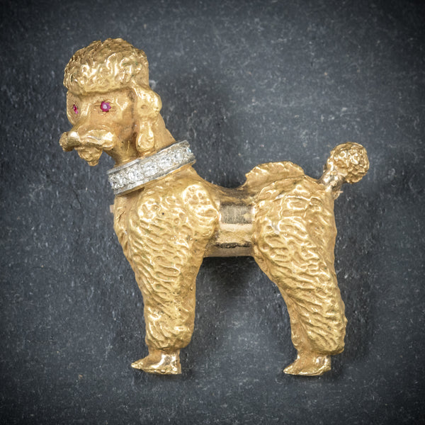 Diamond Dog Brooch 14ct Gold Poodle Circa 1950 FRONT